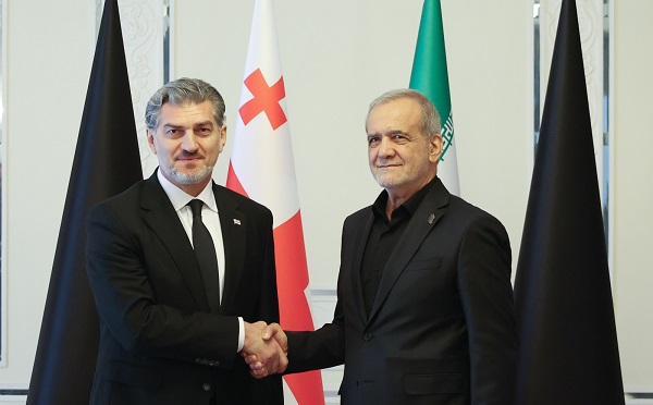 მიხეილ ყაველაშვილი ირანის პრეზიდენტს, მასუდ ფეზეშქიანს შეხვდა