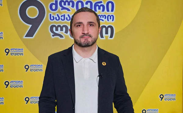 „ოცნების“ მაღალჩინოსნების შვილების დიდი ნაწილი კერძო სკოლაში სწავლობს, ამიტომ ხელისუფლების განმარტება, თითქოს ფორმების სავალდებულო შემოღება თანასწორობის პრინციპების დაცვის მიზნით ხდება, არადამაჯერებელია - ნიკა ჩერქეზიშვილი