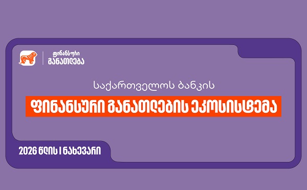 საქართველოს ბანკის ფინანსური განათლების ეკოსისტემა - ინიციატივა, რომელიც ფინანსურ განათლებას ყველა თაობისთვის ხელმისაწვდომს ხდის