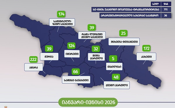 6 თვეში უკანონო ტყითსარგებლობის 946 ფაქტი გამოვლინდა