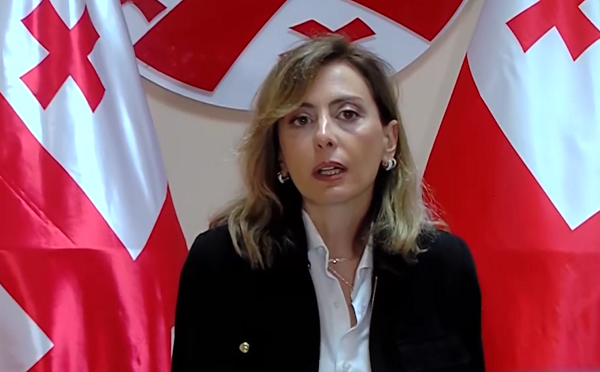 ღარიბაშვილის საქმე ზეპირად ისწავლონ ივანიშვილის მსახურებმა, ჩინოვნიკებმა, ძალაუფლების გამამართლებელმა ფინანსურმა სექტორმა, რადგან სახელმწიფოს წინააღმდეგ “უანგარო” სამსახური ივანიშვილისთვის - ასე დასრულდება - ხატია დეკანოიძე