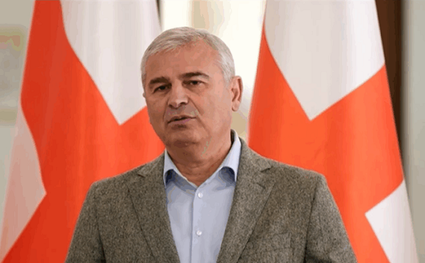 პარტიაში თავმჯდომარე ვინ იქნება, ეს მიხეილ სააკაშვილის ახირებებზეა დამოკიდებული, ეს ყველაფერი იმაზე მიუთითებს, რომ პარტიას ნორმალური რესურსი არ აქვს - ირაკლი ქადაგიშვილი