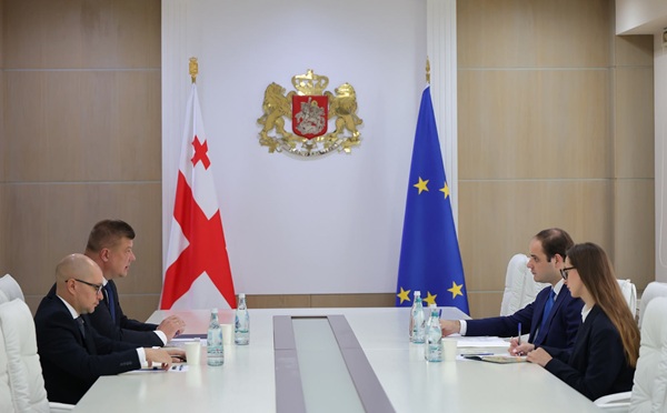 ლევან ჟორჟოლიანი საქართველოში ბელარუსის ელჩს შეხვდა