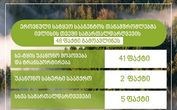 ეროვნული სატყეო სააგენტოს თანამშრომლებმა, ივლისში სამართალდარღვევის 48 ფაქტი გამოავლინეს