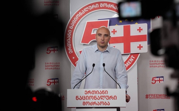 სამწუხაროა, რომ ივანიშვილთან ბრძოლის მაგივრად, მიხეილ საკააშვილთან აგრძელებენ ბრძოლას, სააკაშვილის ჩაძირვით ჰგონიათ,  რომ მთავარი ოპოზიციონერები გახდებიან - ირაკლი ფავლენიშვილი