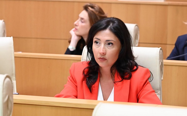 „ოცნება“ დღეს განათლების სისტემის ფუნდამენტურ პრობლემებს გაურბის და აგრესიული უვიცობით ახალგაზრდობას კიდევ უფრო ურთულებს ისედაც მძიმე ყოფას - ტატა ხვედელიანი