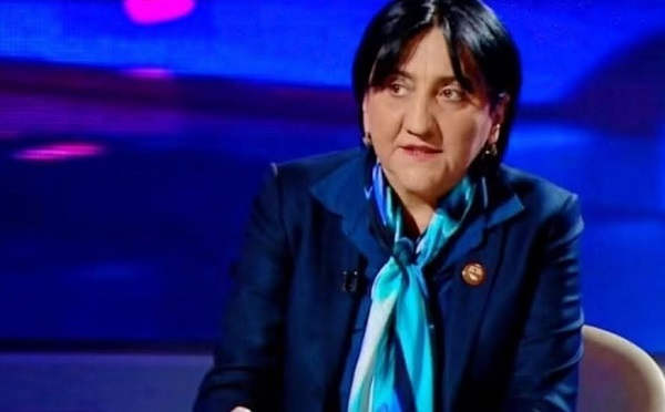 პრობლემების გარჩევა ივანიშვილთან ნახევარი წლის წინ დაიწყო, კობახიძე-მდინარაძე ამტკიცებდნენ - დასავლეთში ყველაფერს სააკაშვილი, ბოკერია და კანდელაკი გვიფუჭებენო, ხომ არ ეტყოდნენ, საბჭოეთში რომ დავაბრუნეთ ქვეყანა, ამისი ბრალიაო?! - ირმა ინაშვილი