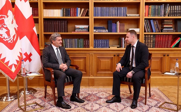 მიხეილ ყაველაშვილმა საკონსტიტუციო სასამართლოს მოსამართლედ გოგა კიკილაშვილი დანიშნა