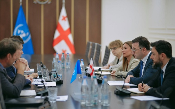 დავით სონღულაშვილი გაეროს მუდმივ კოორდინატორს დიდიე ტრებიუკს შეხვდა