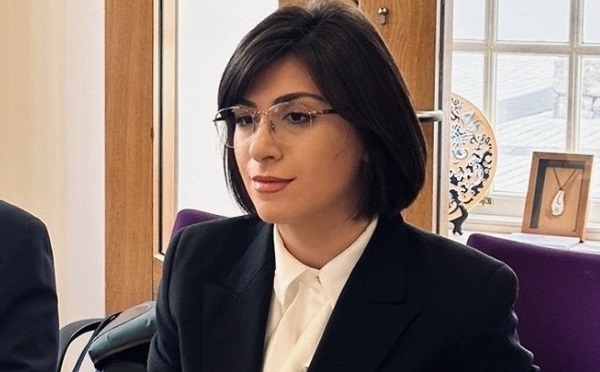 რეჟიმი ებრძვის მათ, ვისაც უფლებების მოპოვებისა და შენარჩუნებისთვის ბრძოლის ორგანიზაციული და ინსტიტუციური შესაძლებლობა აქვს, აზრი, რომ საუკუნის წინ NGO-ები არ არსებობდნენ, ისტორიულადაც მცდარია და პოლიტიკურადაც სახიფათო - თამარ ონიანი