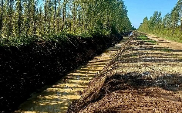 აბაშის მუნიციპალიტეტში 250 ჰექტარ სასოფლო-სამეურნეო მიწის ფართობზე  სადრენაჟე მომსახურება გაუმჯობესდება