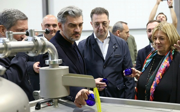 დავით სონღულაშვილმა ზეთისხილის რთველში მიიღო მონაწილეობა