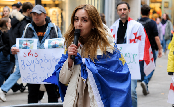 ნანა სანდერი საპროცესო შეთანხმების გაფორმებას ითხოვს