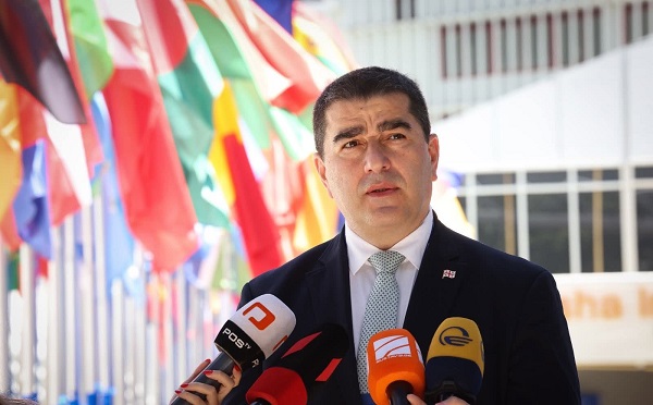 დებატობენ ისინი, რომელთა ხელშიც პარტიები არიან იარაღი საქართველოს წინააღმდეგ - შალვა პაპუაშვილი ევროპარლამენტში დებატებზე