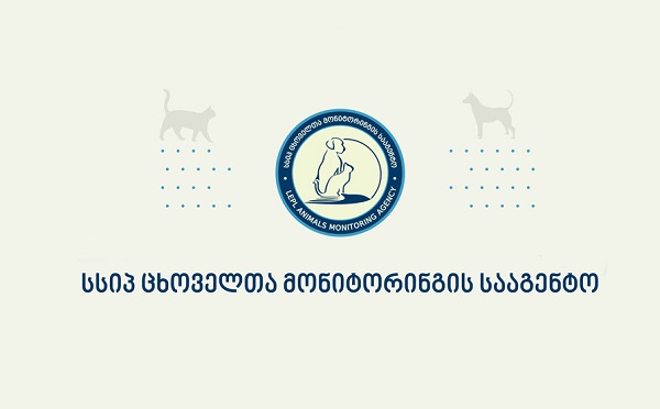 სამარხი განკუთვნილია თბილისის ტერიტორიაზე სხვადასხვა მიზეზით გარდაცვლილი ძაღლების ნეშტების განსათავსებლად - ცხოველთა მონიტორინგის სააგენტო განცხადებას ავრცელებს