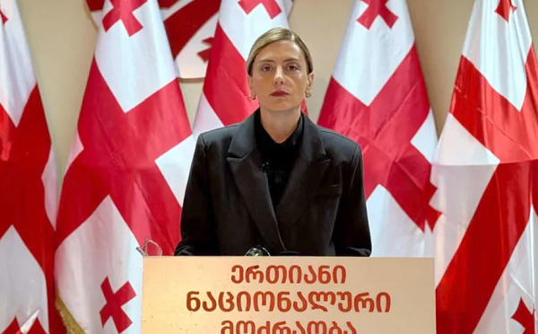 დიდი ხანია ვმუშაობთ, რათა ბიძინა ივანიშვილს, ირაკლი კობახიძეს, შალვა პაპუაშვილს, კახა კალაძესა და ყველა იმ ადამიანს, რომელიც კვებავს რეჟიმს და ავრცელებს საქართველოში რუსულ გავლენებს, სანქციები დაუწესდეთ - ხატია დეკანოიძე