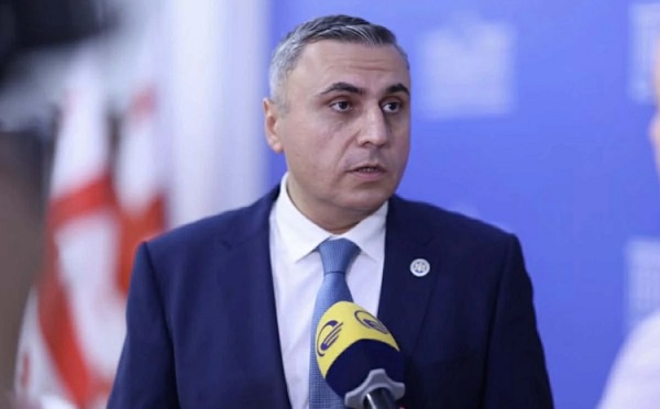 საკონსტიტუციო სარჩელთან დაკავშირებით ოპოზიციის ნაწილმა ფარ-ხმალი დაყარა - დავით მათიკაშვილი