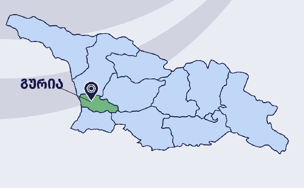 გურიაში სამელიორაციო ინფრასტრუქტურის განვითარებისთვის 1.5 მილიონ ლარზე მეტი დაიხარჯება