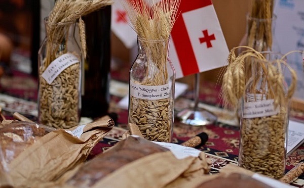 სურსათის მსოფლიო ფორუმის ფარგლებში ქართული ხორბლის კულტურისა და გენეტიკური რესურსების შესახებ პრეზენტაციები გაიმართა