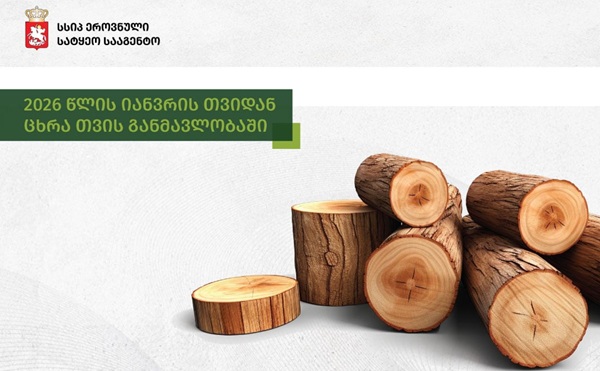 ეროვნული სატყეო სააგენტოს თანამშრომლების მიერ ცხრა თვის განმავლობაში ხე-ტყის უკანონო მოპოვების 505 ფაქტია გამოვლენილი