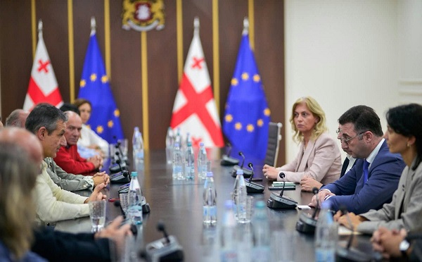 დავით სონღულაშვილი „EMaVE”-ის კონსორციუმის წარმომადგენლებს შეხვდა