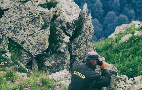 რეინჯერების დაზღვევას კავკასიის ბუნების ფონდი 40 000 ევროთი დააფინანსებს