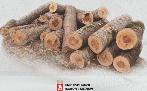 ეროვნული სატყეო სააგენტოს თანამშრომლებმა 2025 წელს სამართალდარღვევის 877 ფაქტი გამოავლინეს